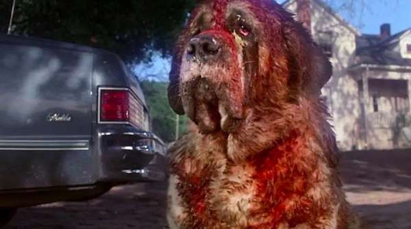 Stephen King’s novella “Rattlesnakes” is the sequel to the film Cujo