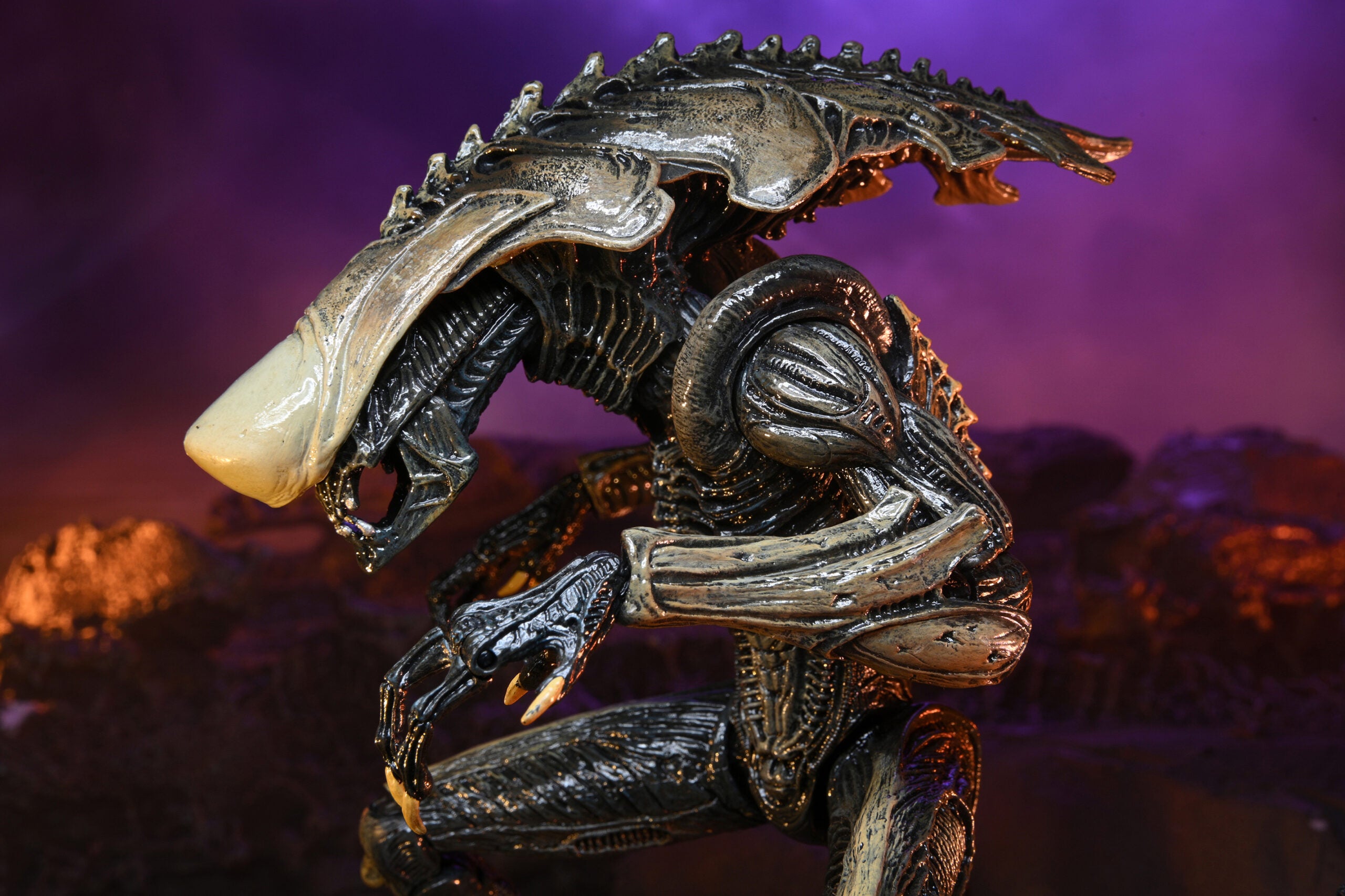 Alien vs. Predator Chrysalis (Movie Deco) Action Figure